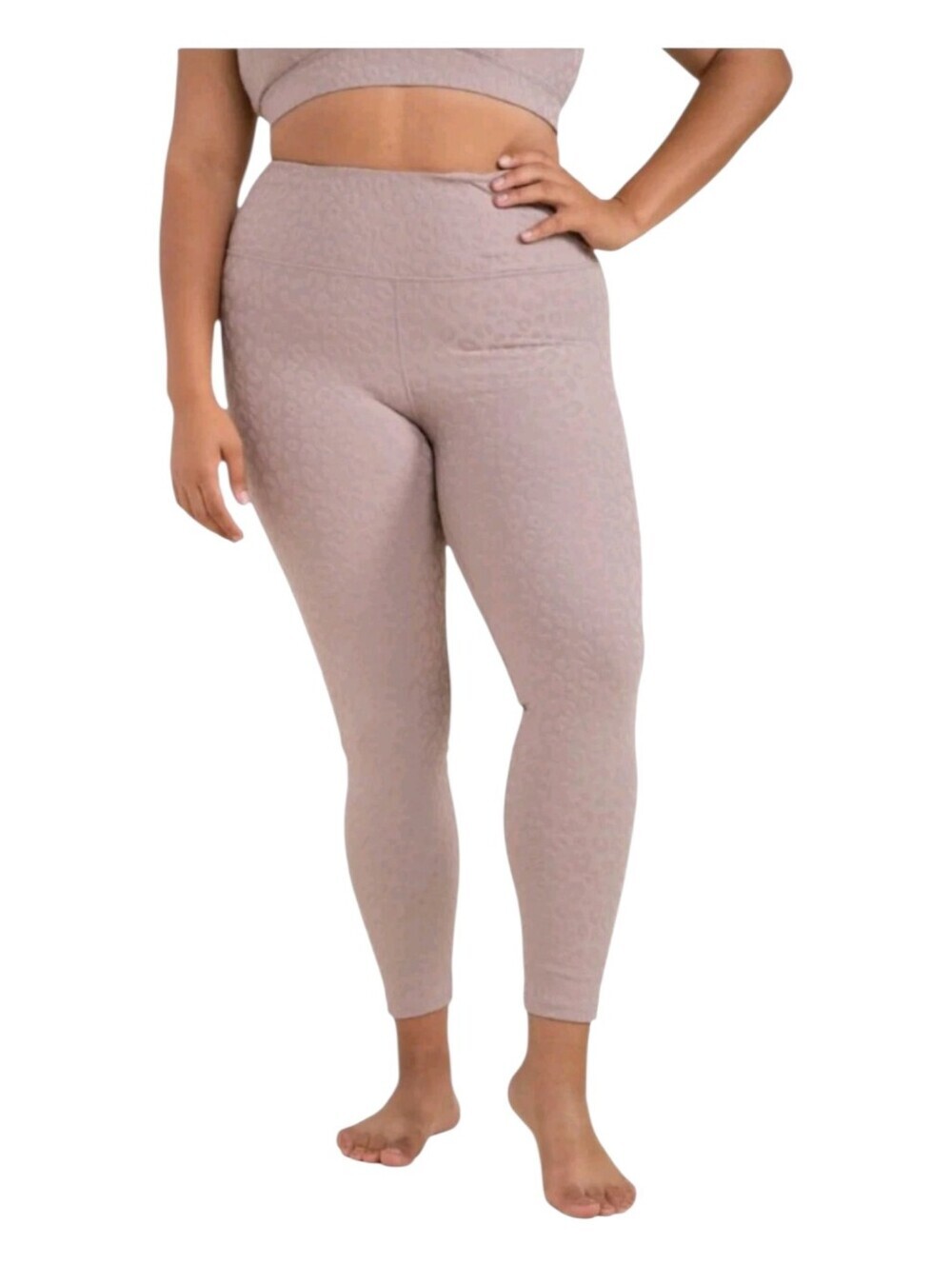 Mono B Womens Neutral Taupe Jacquard Cheetah Print Leggings Size 1XL